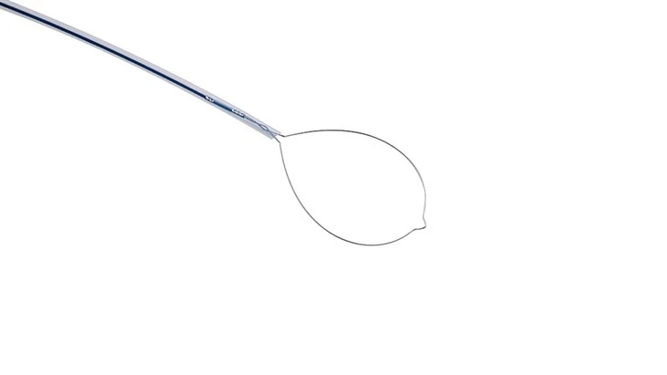Rotatable Polypectomy Snares Single-Use Cold/hot